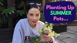 Plant Up A Summer Pot With Me-Bedding Plants