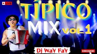 MERENGUE TIPICO 🪗 MIX 2024 VOL 1 DESDE EL SEIBO RD ( LOS MAS PEGADOS )