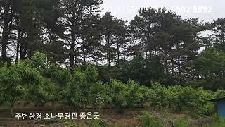 청도 가456 참한땅 참한가격 청도 유등지 인근 주말농장 컨테이너 힐링지 1025m² 310평 매매 1억3처5백