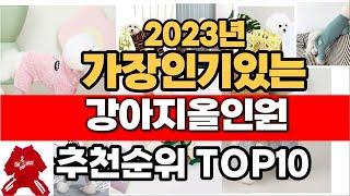 2023년 잘나가는 강아지올인원  추천순위 TOP10