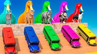 5 Giant Duck Cartoon,Cow,Elephant,Tiger,Lion,Dinosaur,Paint Wild Animals Crossing Fountain Animation