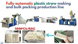 Plastic Straw Making Machine and Bulk Packaging Machine Production Line