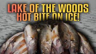 Lake of the Woods Ice Fishing Adventure | Full Episode | Fisherman’s Digest