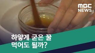 [스마트 리빙] 하얗게 굳은 꿀 먹어도 될까? (2019.12.05/뉴스투데이/MBC)