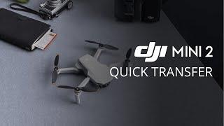 DJI Mini 2 | Jak używać trybu QuickTransfer?