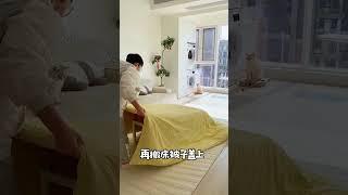 还好我家猫会说话，不然要挨冻了 #阿咪