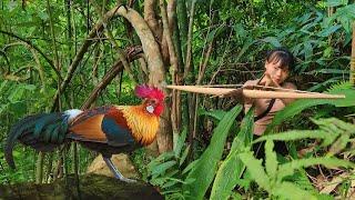 Discovering Wild Chickens - Hunting Wild Chickens with a Crossbow Full of Mechanics