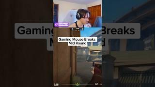 Mouse Breaks Mid CS2 Game