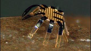 Tiny robotic crab is smallest-ever remote-controlled walking robot