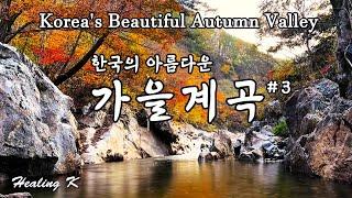 4k 한국의 아름다운 가을 계곡 물소리 #3 | Korea's Beautiful Autumn Valley | Relaxing Nature Calm 백색소음 ASMR