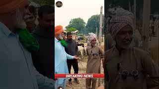 Raju dirba#farming #pendu #goat #punjabi #tranding #video #viral #viralshorts #bakramandi #india