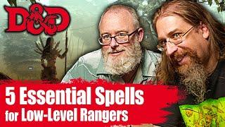 5 Essential 5e D&D Ranger Spells for Tier 1