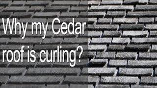 Why Is My Cedar Roof Curling, Cupping, Lifting, Warping, Bending?