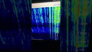 Receiving Awesome VLF TWEEKS on my VLF-R-1 VLF Antenna