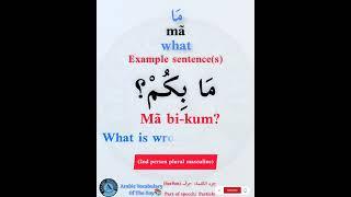 Arabic Vocabulary Of The Day