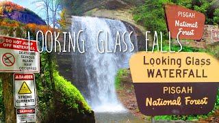 Looking Glass Falls - Pisgah National Forest