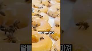 벌들이 점령한 도넛가게