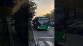 Autobuz articulat MB Conecto tranzitând Bd. Pădurilor pe linia 7 (Rm. Vâlcea)