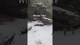 Beautiful winter hike along frozen stream #fish #fishing