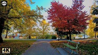 Autumn in Helsinki Finland - Morning Walk from Kaivopuisto to Market Square (3 Oct 2021)