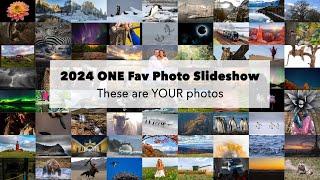 YOUR Favorite Photos of 2024! Photo inspiration for 2025!