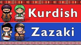 IRANIAN: KURMANJI KURDISH & SOUTHERN ZAZAKI