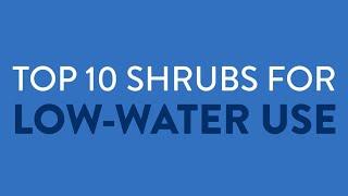 Top 10 Shrubs for Low-Water Use