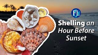 What can you find at the beach and river only an hour before sunset?