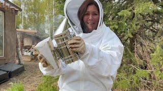 Homestead Life in Alaska ~ Trying Beekeeping ~ Nordland 49