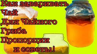 ЧАЙНЫЙ ГРИБ  ИНСТРУКЦИЯ, КАК УХАЖИВАТЬ, СЕКРЕТЫ ПРИГОТОВЛЕНИЯ, КОМБУЧА, КАК ГОТОВИТЬ