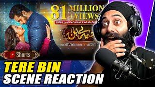 Tere Bin-Yumna Zaidi - Wahaj Ali | Drama Scene Reaction | PRTV Extra