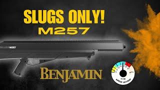 NEW POWERHOUSE Benjamin BULLDOG M257 * SPECS * ACCURACY