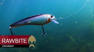 Rawbite Crankbait - Westin-Fishing