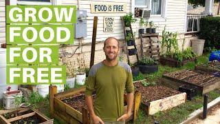 How to Grow Food for Free in the City