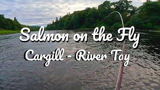 Salmon on the Fly at Cargill - The River Tay