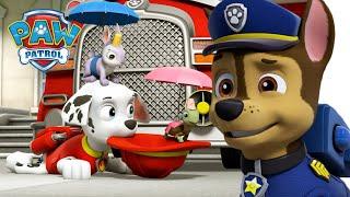 Pieski ratują minipatrol i kredowe malowidło! - Psi Patrol PAW Patrol po polsku