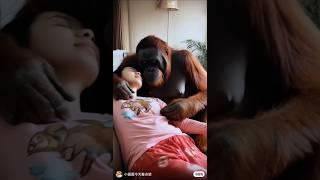 Bear vs Girl Hot #china #bear #girl #love