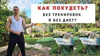 Как похудеть без тренировок и диет?