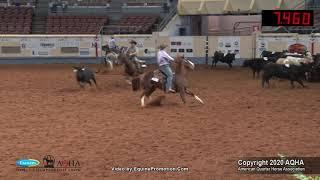 2020 AQHA Open Team Penning