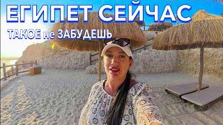 Египет 2024. ТУРИСТЫ ЖАЛУЮТСЯ ‼️ Sharm Plaza Resort 4*. Морепродукты Риф. Шарм Эль Шейх