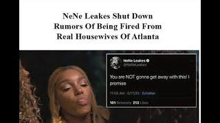 Nene Leakes FIRED From RHOA: What’s Wrong With You? Episode 3