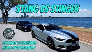 SkyRides & RoadVibes Media entertainment, Stang Vs Stinger Rollers / Drone footage.