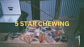 5 STAR CHEWING - A North West Australia Fishing Film