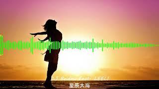 黄霄云 - 星辰大海《Xing Chen Da Hai EDM Cover》【DJ Beidou x LEELI】(歌词 + Pinyin Lyrics)