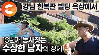 '강남 한복판에서 농사 짓고 닭도 키워요' 옥상을 밭으로, 시골을 도시로 옮겨온 수상한 남자‍ 13년차 도시 농부의 강남스타일 텃밭 농사 | #한국기행