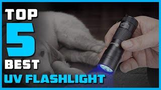 Best UV Flashlight in 2024 - Top 5 UV Flashlights Review