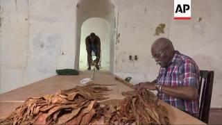 Cuban cigar maker goes for another Guinness record