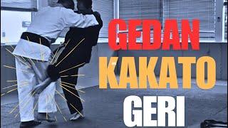 Devastating  Power of Gedan Soto Kakato Geri - Heel Kick That ...