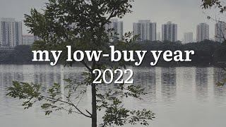 My Low-Buy Year 2022 | Rules & Explanation