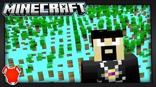 Beyond 30,000,000 in Minecraft Bedrock Edition?!